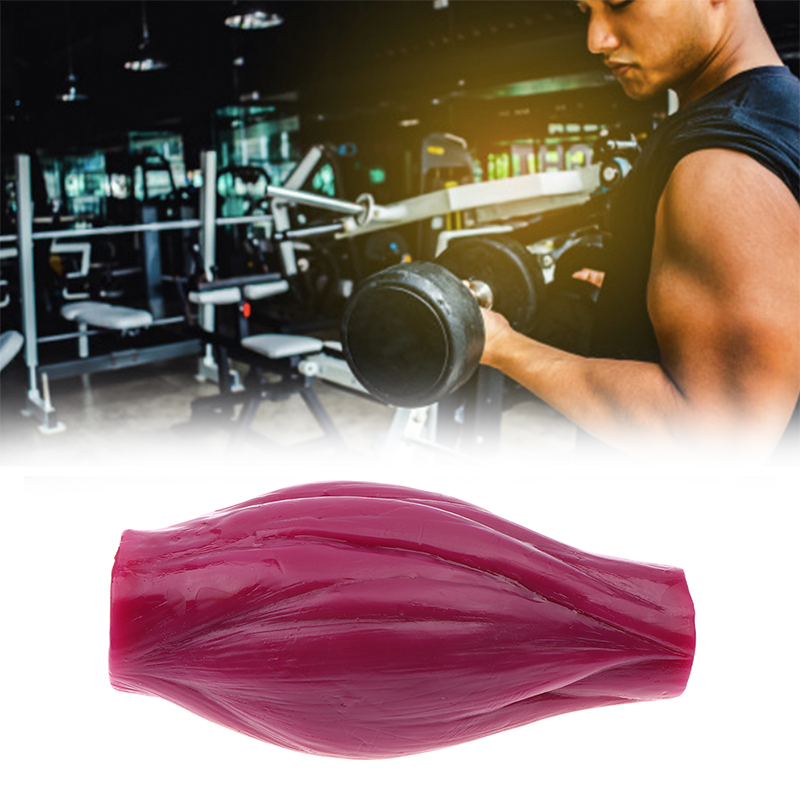 1lb Muscle to Keep Fit & Weigh - Nutrition Fitness Center avaliação e preço